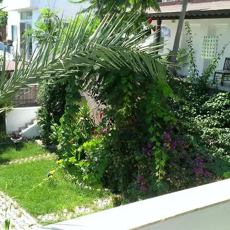 Eda Πανσιόν