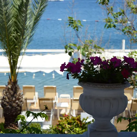 Eda בית הארחה 3*