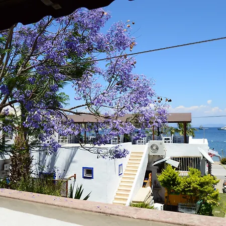 Eda גולטורקבוקו