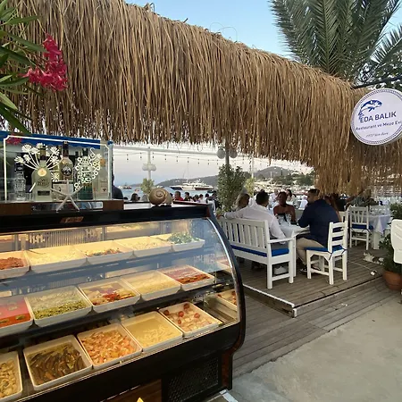 בית הארחה Eda